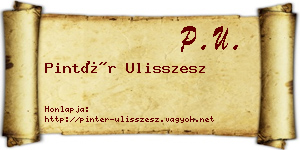 Pintér Ulisszesz névjegykártya