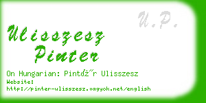 ulisszesz pinter business card